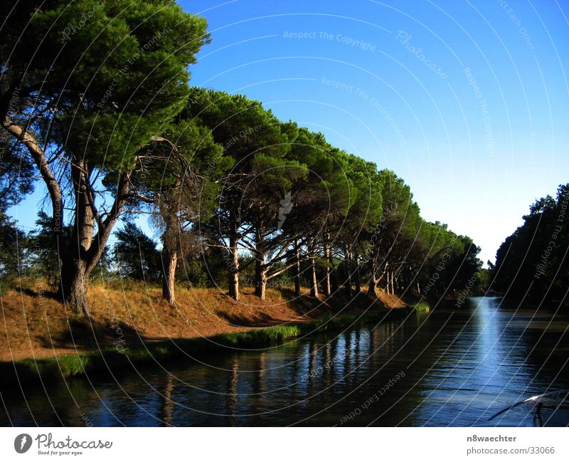 Ruhe auf dem Kanal Canal du Midi Frankreich Unendlichkeit ruhig Baum Baumreihe Nadelbaum Reflexion & Spiegelung Schifffahrt Wasser Himmel Abend Erholung