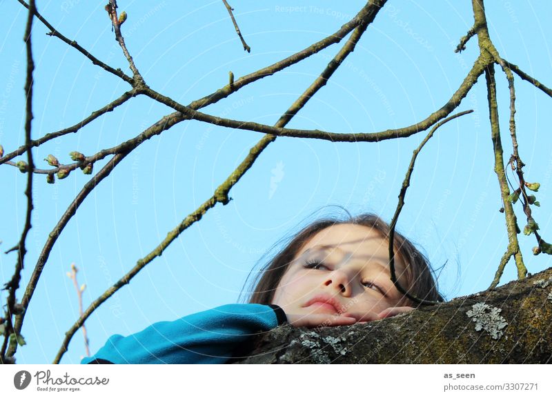Auf einen Baum klettern Kindererziehung Kindergarten Mädchen Leben Gesicht Umwelt Natur Himmel Frühling Wetter Garten Erholung genießen liegen träumen sportlich