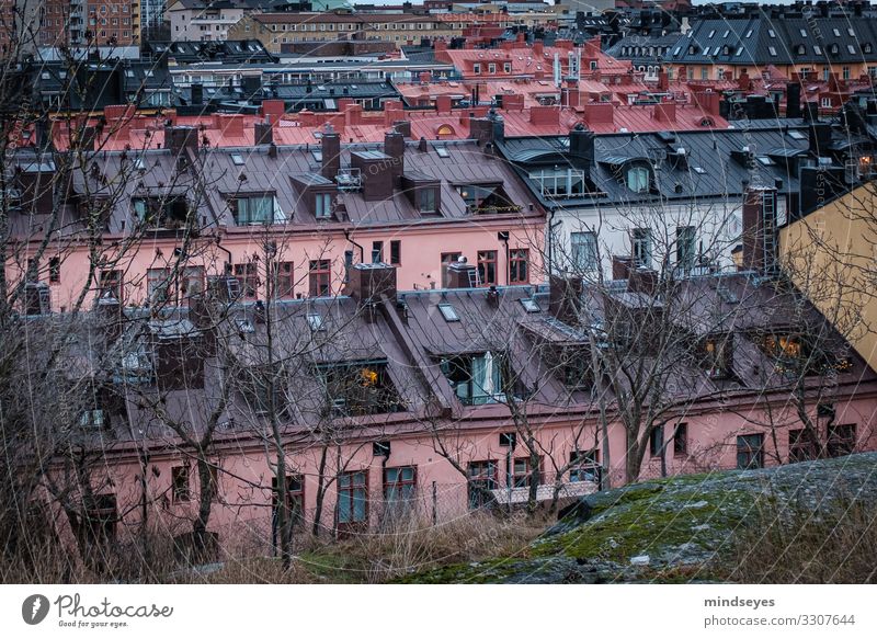 Über den Dächern von Stockholm Tourismus Städtereise Winter Haus Fassade Dach Ferien & Urlaub & Reisen Häusliches Leben einfach Zusammensein historisch lustig
