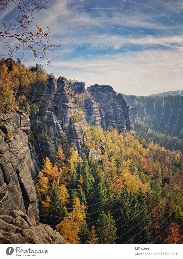 sächsische schweiz Umwelt Natur Landschaft Schönes Wetter Unendlichkeit Sächsische Schweiz Sandstein Felsen wandern Wald Herbst mehrfarbig Ausflug