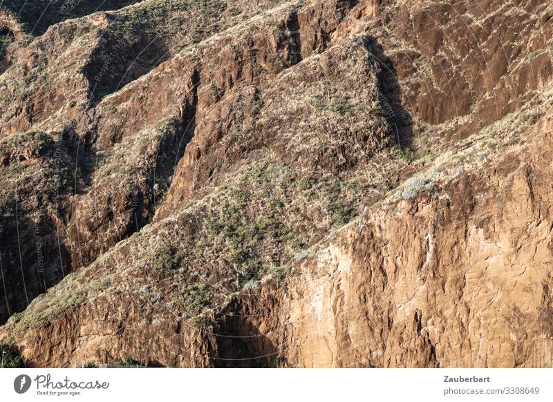 Aufwärts Ferien & Urlaub & Reisen Berge u. Gebirge Natur Landschaft Felsen La Palma Kanaren wandern braun selbstbewußt Respekt Umwelt steil Felswand Steilwand