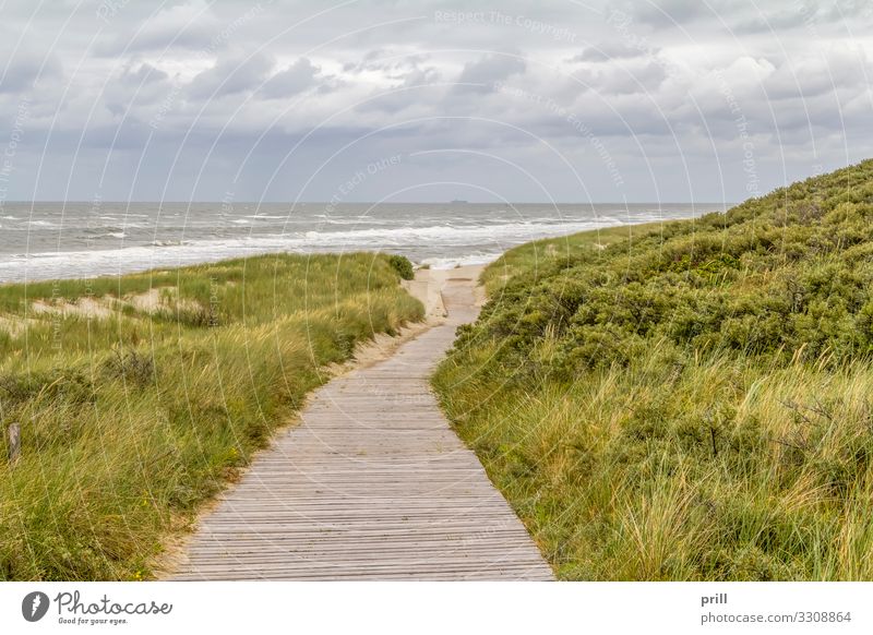 beach scenery at Spiekeroog Sommer Strand Meer Insel Landschaft Sand Wasser Küste Nordsee Wege & Pfade authentisch sanddüne Ostfriesland Landkreis Friesland