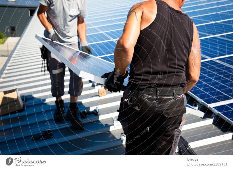 Monteure verlegen Photovoltaikmodule Photovoltaikanlage Facharbeiter arbeiten Ausbau erneuerbarer Energie Arbeit & Erwerbstätigkeit Arbeitsplatz Handwerk