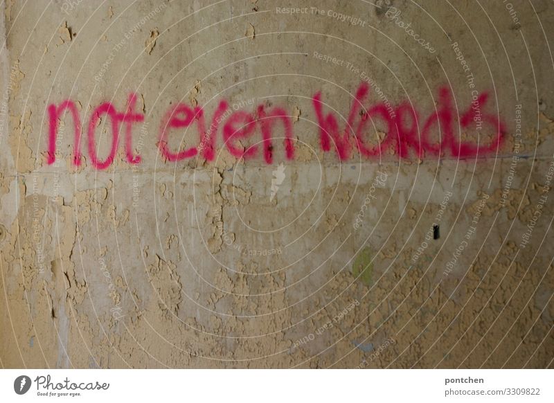 Graffiti in verlassenen Haus auf Wand Wörter „Not Even words“ Sprachlosigkeit Industrieanlage Bauwerk Gebäude Architektur klug Interesse Traurigkeit Sorge