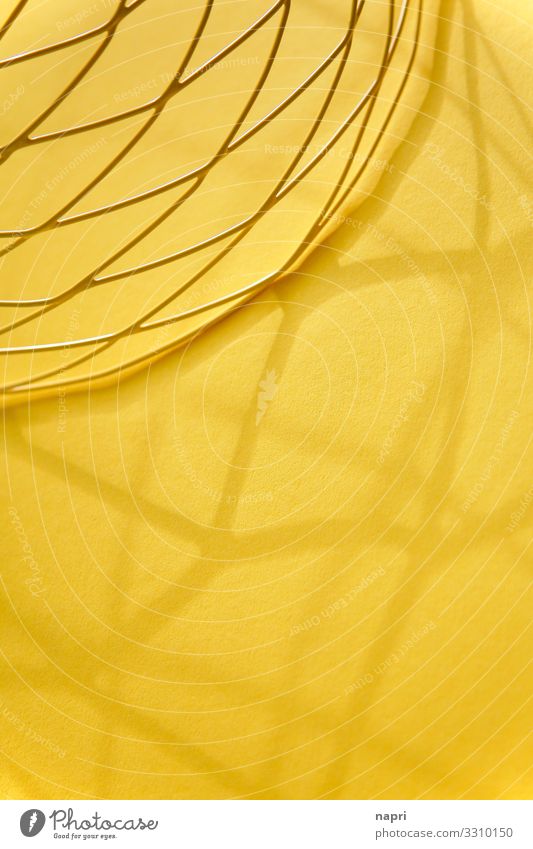 Abstrakt in gelb Drahtkorb Linie Farbe Inspiration abstrakt Muster leuchtende Farben Hintergrundbild Strukturen & Formen Farbfoto Innenaufnahme Menschenleer