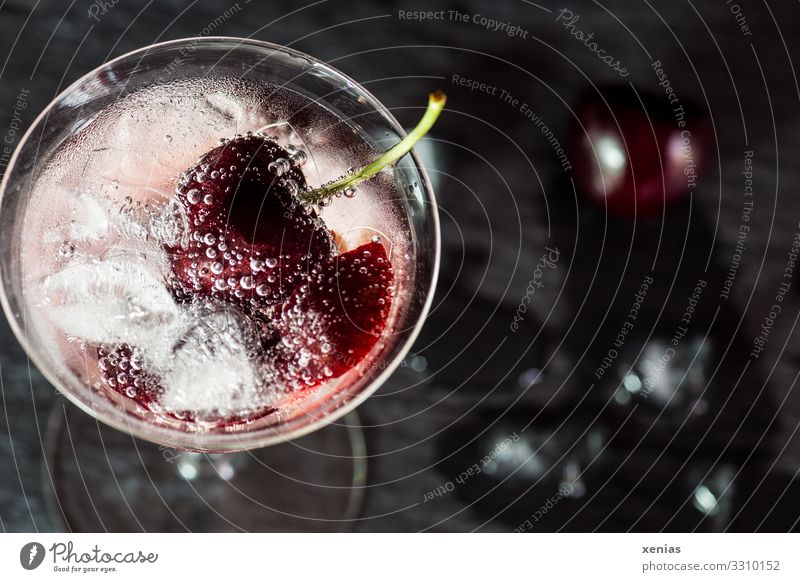 Leckeres Wasser mit Kirsche und Eiswürfel Frucht Bioprodukte Getränk Erfrischungsgetränk Trinkwasser Glas Lifestyle Gesunde Ernährung Bar Cocktailbar genießen