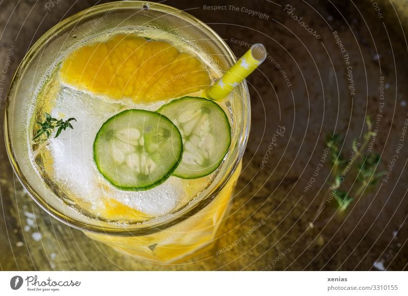 Erfrischungsgetränk im Glas mit Orange, Gurke und Thymian Kräuter & Gewürze Eiswürfel Bioprodukte Vegetarische Ernährung Diät Getränk trinken Trinkwasser