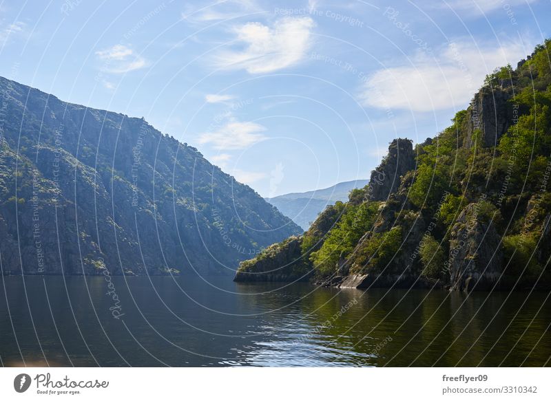 Blick auf die Sil Canions vom Fluss aus schön Ferien & Urlaub & Reisen Sommer Natur Landschaft Himmel Wald blau grün Wasser Spanien Aussicht Urlaubssymbol