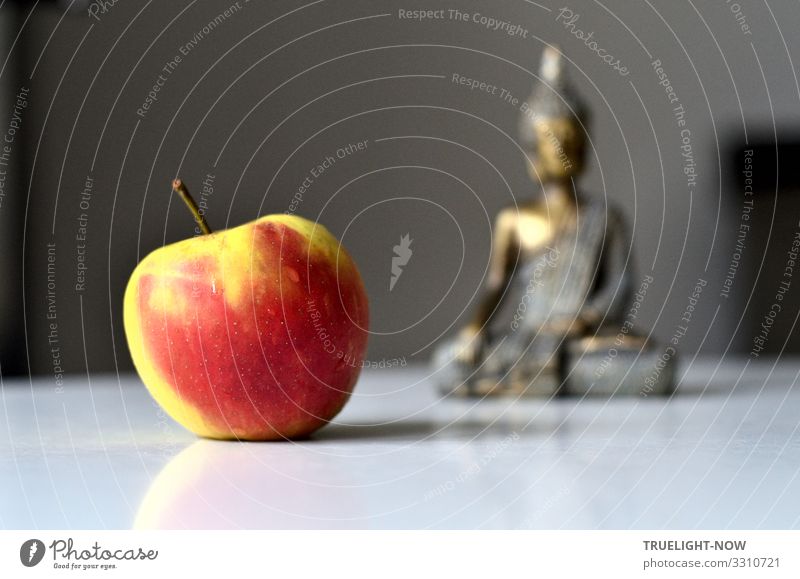 Apfel mit Erleuchtungssymbol Lebensmittel Frucht Ernährung Bioprodukte Vegetarische Ernährung Diät Fasten Lifestyle Glück Gesundheit Gesundheitswesen