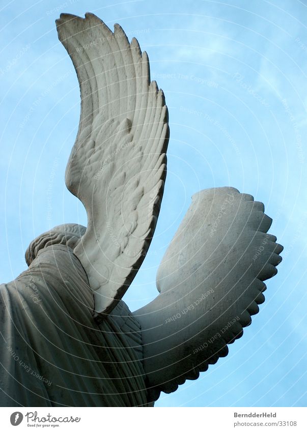 Engel von hinten Statue Skulptur Flügel rückwärts Rücken Stein