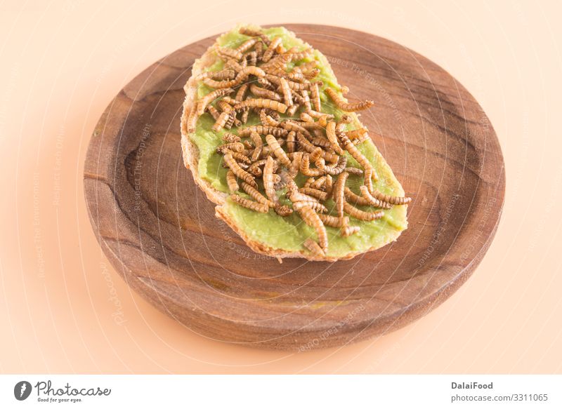 Sandwich aus Speisewürmern mit Avocado Brot Wurm Diät essbar braten Guacamole Insekt Larve Protein Belegtes Brot Farbfoto