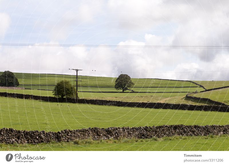 Allerlei Linien Ferien & Urlaub & Reisen Umwelt Natur Landschaft Pflanze Himmel Wolken Schönes Wetter Baum Gras Wiese Hügel Yorkshire Stein einfach natürlich