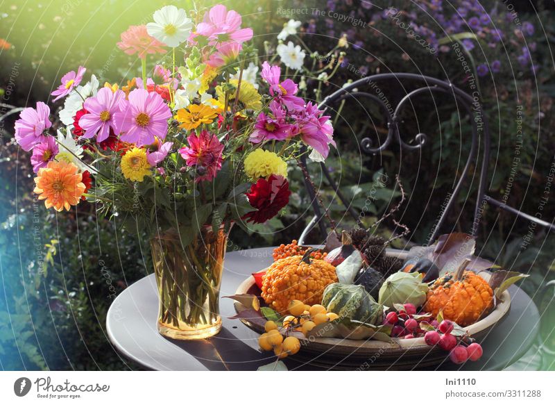 Zierkürbisse in flacher Schale und ein Blumenstrauß in Glasvase stehen auf kleinem Metalltisch draußen auf der Terrasse Herbst Garten Dahlien Cosmea Zieräpfel