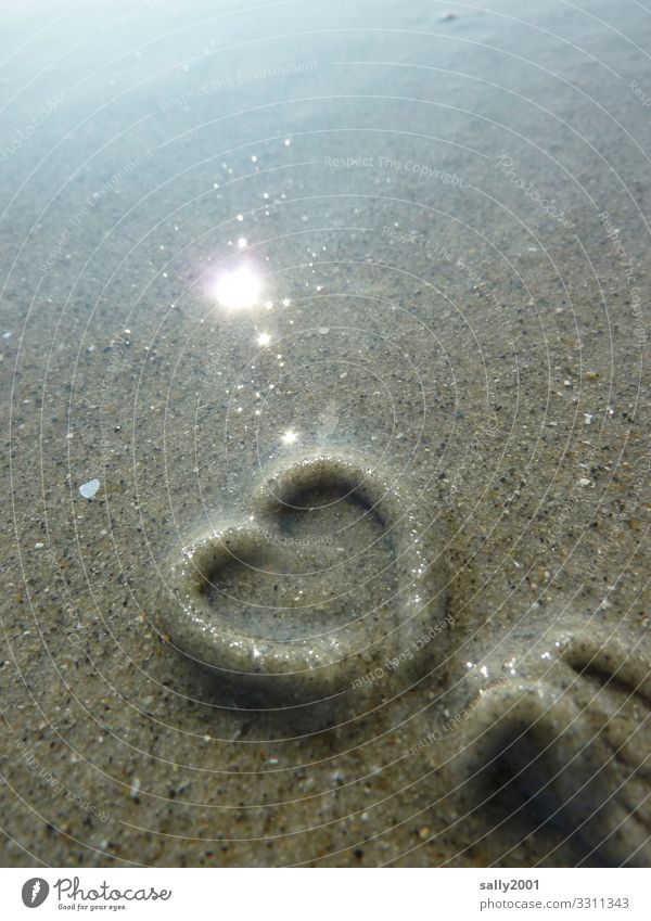 Liebeserklärung eines Wattwurms... Sand Küste Strand Nordsee Wattwürmer Zeichen Herz leuchten außergewöhnlich Glück einzigartig maritim natürlich Tierliebe