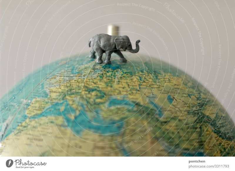 Spielzeug Elefant steht auf Globus. Klimawandel, Tierschutz, bedrohte Arten Wildtier 1 Kunststoff niedlich retro plastiktier stehen gehen stolzieren oben