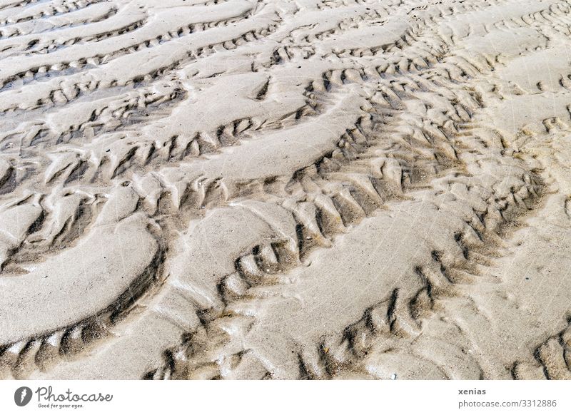 Muster mit Zacken im Sand Umwelt Natur Landschaft Erde Klima Wellen Küste Nordsee Linie braun Ebbe Hintergrundbild xenias Gedeckte Farben Detailaufnahme