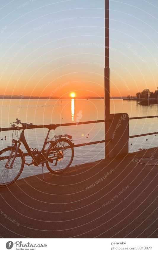 radler orange Fahrradfahren Natur Landschaft Sonne Winter Schönes Wetter Seeufer Hafenstadt Erholung erleben Tourismus Bodensee Geländer Friedrichshafen