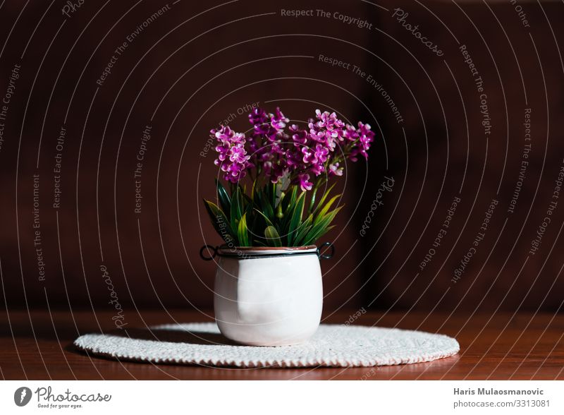 Weiße Keramikvase mit rosa Blumen auf der Tischinnenseite Schreibwaren Vase Blühend Feste & Feiern authentisch außergewöhnlich elegant trendy schön braun