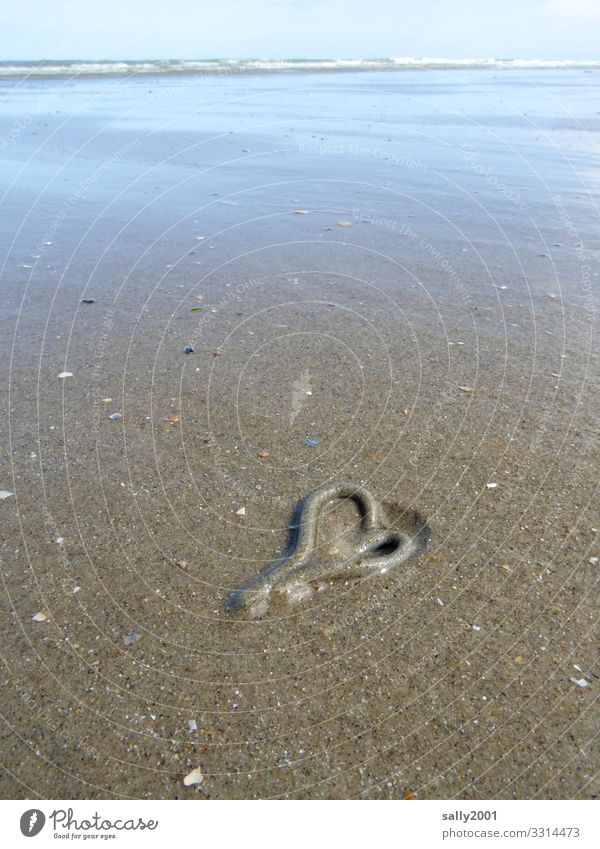 Wattwurm in love... Küste Strand Nordsee Meer Sand Liebe Einsamkeit rein Wattwürmer Kot Brandung Wattenmeer Ebbe Herz herzförmig Liebeserklärung Natur Ferne