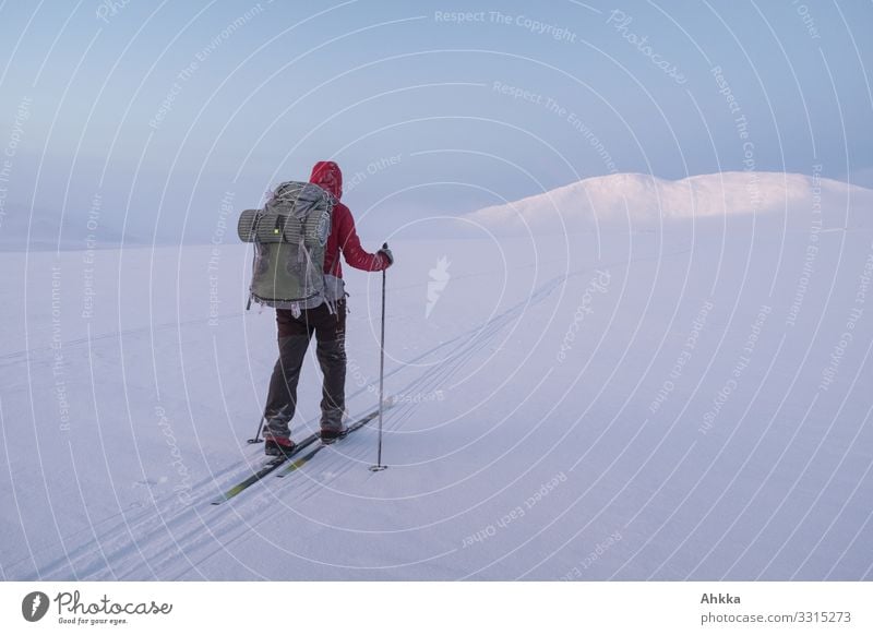 Into the wild Ferien & Urlaub & Reisen Abenteuer Expedition Winterurlaub Wintersport 1 Mensch Natur Klima Eis Frost Schnee Berge u. Gebirge Schweden entdecken