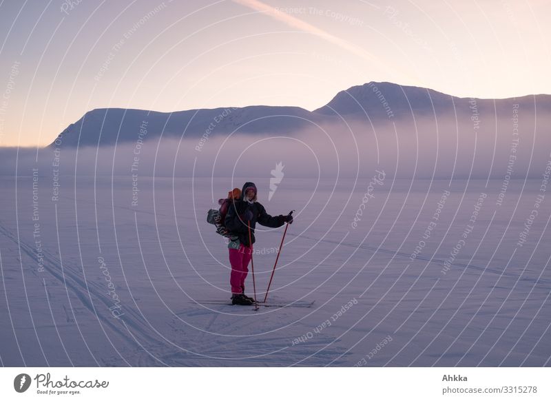 Junge Frau auf Skiern in pinker Hose in einer eisigen blauen Winterlandschaft auf Höhe der Wolken, zwei Skispuren und schneebedeckte Gipfel Expedition