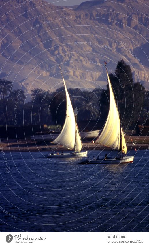 egypte Wasserfahrzeug See Zeile Zufriedenheit sailing