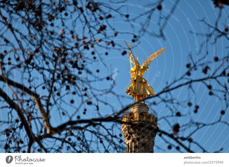 Goldelse hinter Plantane Baum Berlin blattgold Denkmal Deutschland Figur großer stern Hauptstadt Himmel Himmel (Jenseits) Menschenleer Großstadt Mitte Park