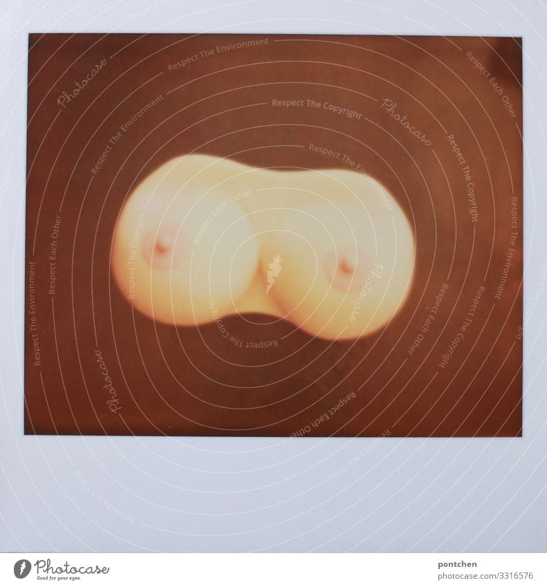 Polaroid zeigt Plastikbrüste auf Holztisch feminin Frauenbrust ästhetisch Erotik Silikon Plastische Chirurgie Brustwarze Haut nackt Menschenleer