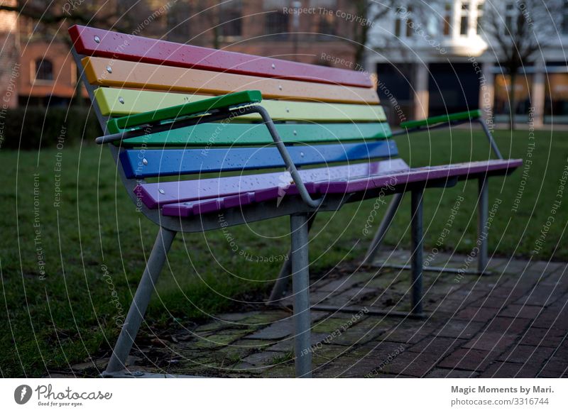 Die schöne LGBT-Regenbogenbank Holz Freiheit Freude Frieden lgbt Bank Dänemark Farben urban Toleranz Farbfoto