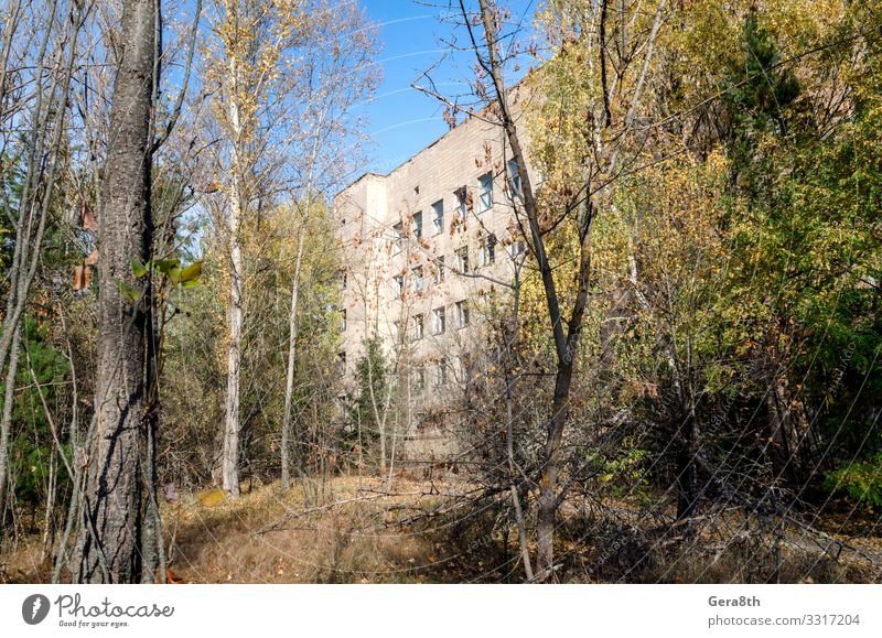 berühmter Ort Krankenhaus in einer verlassenen infizierten Stadt Tschernobyl Medikament Ferien & Urlaub & Reisen Tourismus Ausflug Pflanze Herbst Baum Gebäude