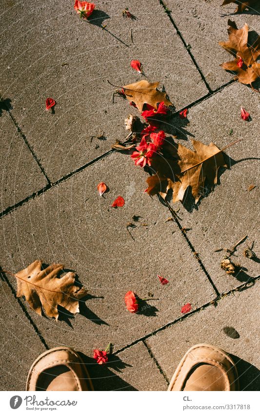 blätter und blumen Mensch 1 Herbst Schönes Wetter Blume Blatt Schuhe Boden stehen ästhetisch braun rot Vergänglichkeit Fotografieren Farbfoto Außenaufnahme Tag