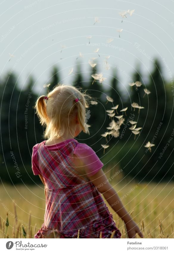 Fliegt!!!!! Mensch feminin Kind Mädchen Kindheit Kopf Haare & Frisuren 1 3-8 Jahre Umwelt Natur Landschaft Pflanze Sommer Schönes Wetter Baum Gras Wiese Feld