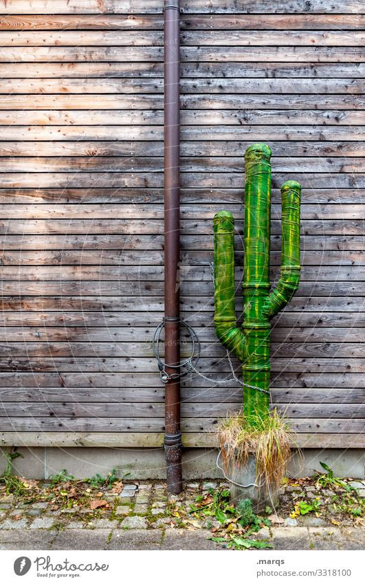 Kaktus Holzwand Regenrinne Metall künstlich grün braun