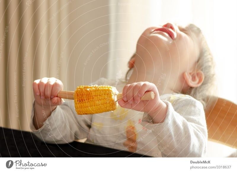 Kind hält Mais in der Hand und wirft weinend den Kopf nach hinten Lebensmittel Gemüse Maiskolben Essen Mensch feminin Kleinkind Mädchen 1 1-3 Jahre festhalten