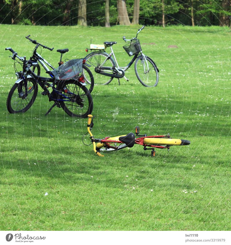Fahrräder auf einer Wiese im Park Lifestyle Fahrradtour Sommer Natur Pflanze Schönes Wetter Gras Fahrradfahren blau gelb grün rot schwarz Ausflug Pause Erholung