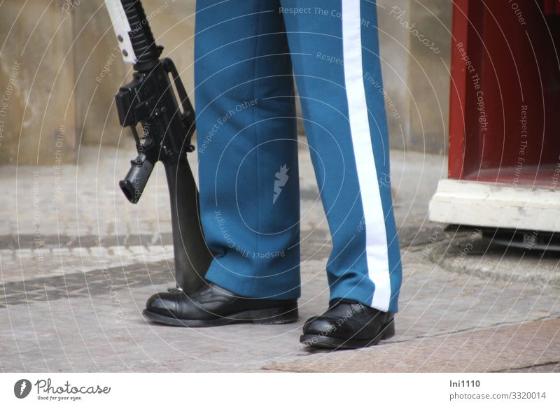 im Dienst Beruf Team maskulin Mann Erwachsene Beine 1 Mensch Kopenhagen Dänemark Sehenswürdigkeit Denkmal blau rot weiß Schutz Gewehr Waffe Uniform Schuhe