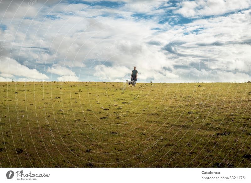 Am Horizont sieht man Hund und Herrchen beim Spazierengehen maskulin 1 Mensch Landschaft Pflanze Tier Himmel Wolken Sommer Gras Wiese Weide Grasland Steppe