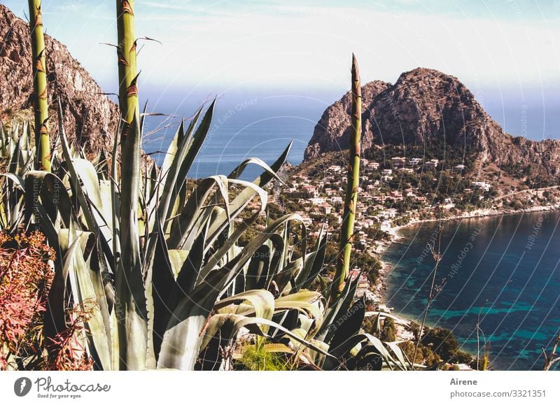 das Land der Sehnsucht mit der Seele suchen Landschaft Wasser Schönes Wetter Hügel Küste Meer Bucht maritim blau Panorama (Aussicht) Italien Klippe Mittelmeer
