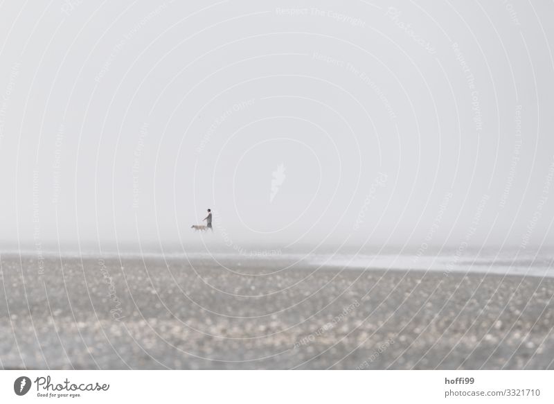 Spaziergang von Mensch und Hund im Watt bei Nebel 1 Sand Wolkenloser Himmel Horizont Sommer Schönes Wetter Küste Strand Nordsee Wattenmeer Wattwandern