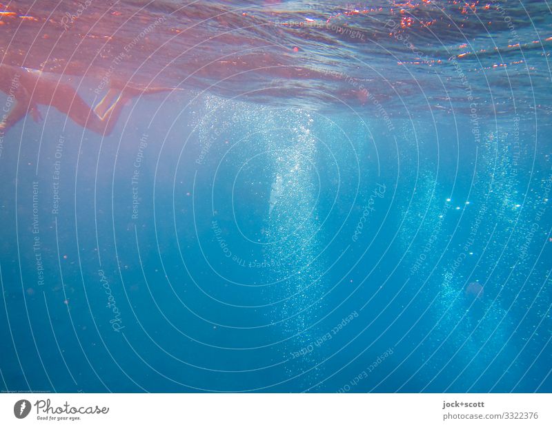 tiefblau mit vielen Luftblasen Schnorcheln Schnorchler Wassersport 1 Mensch Meer Pazifik Great Barrier Reef Schwimmen & Baden tauchen Wärme Stimmung erleben