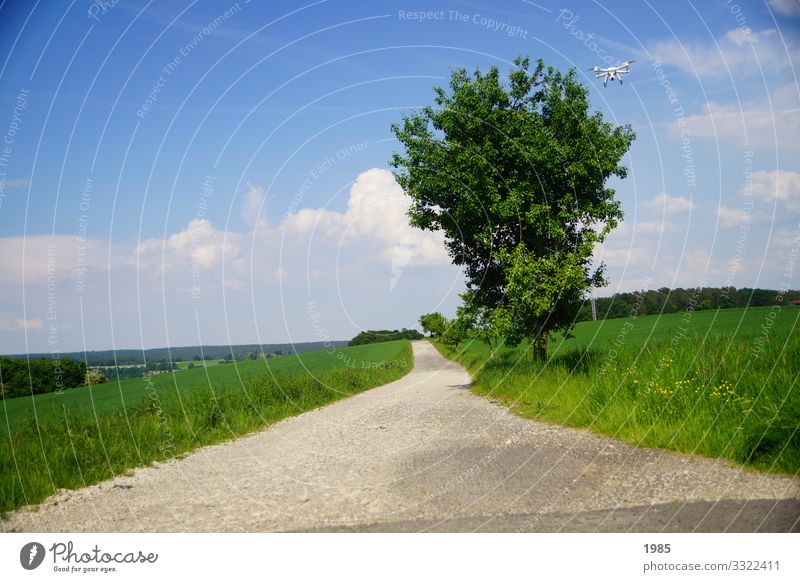 Der Weg ruhig Sommer Drohne Natur Landschaft Himmel Baum Gras Wiese Fahrradweg Wege & Pfade Menschenleer Fahrradfahren beobachten entdecken Erholung gehen
