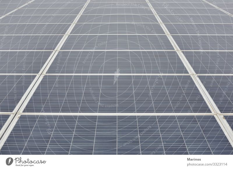 Nahaufnahme eines Solarpanels. Erneuerbare Energie. Sonne Industrie Technik & Technologie Umwelt Natur Pflanze Himmel Sauberkeit innovativ solar Paneele Panel