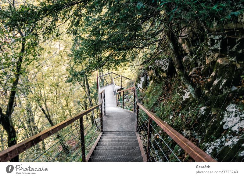 Metalltreppe in einem Wald mit grünen Bäumen in einer Schlucht in Georgien Ferien & Urlaub & Reisen Tourismus Ausflug Berge u. Gebirge Natur Landschaft Pflanze