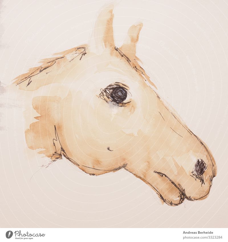 Aquarell Malerei Trakehner Portrait Freizeit & Hobby Handwerk Haustier Nutztier Pferd Tiergesicht 1 Papier zeichnen Kreativität riding horse Lebewesen
