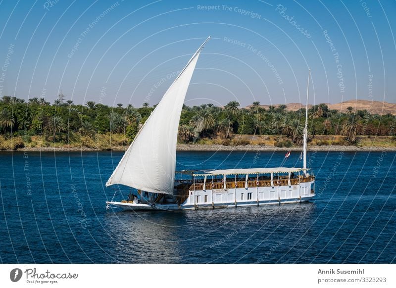 Traditionelle Dahabeya mit weißem Segel auf dem Nil in Ägypten Freizeit & Hobby Ferien & Urlaub & Reisen Tourismus Kreuzfahrt Umwelt Natur Landschaft Wasser