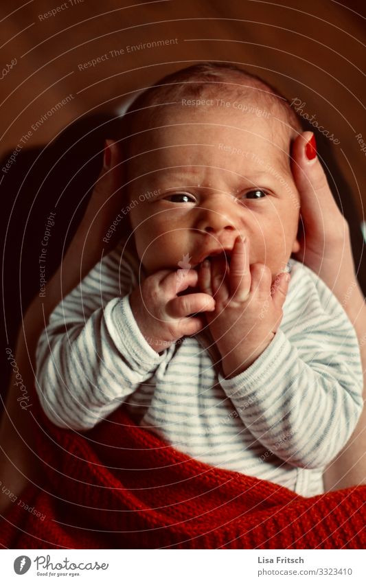 NEUGEBORENES - MITTELFINGER ZEIGEN - HÄNDE im Mund Gesundheitswesen Kindererziehung Kindergarten Baby Kindheit 1 Mensch 0-12 Monate beobachten berühren