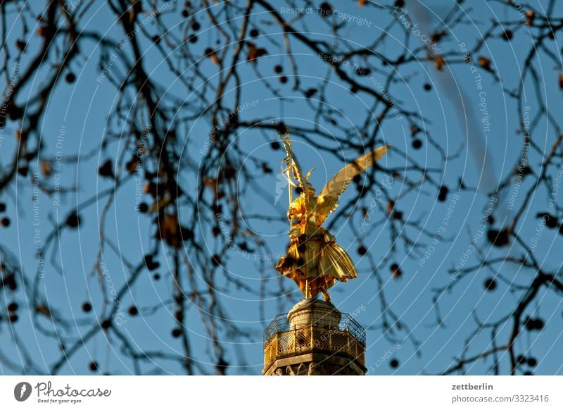 Siegessäule hinter Platane Baum Berlin blattgold Denkmal Deutschland else Körper Figur Goldelse großer stern Hauptstadt Himmel Himmel (Jenseits) Menschenleer