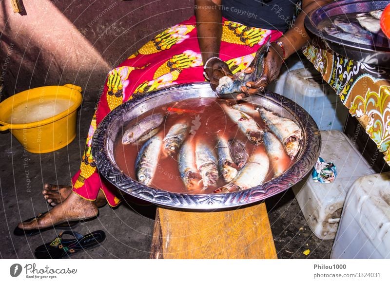Gambische Frau benutzt ihre Hände, um Fische zu leeren und zu reinigen Ferne Küche Hand Natur Erde Handschuhe Holz frisch klein Gambia Nachmittag Tiere