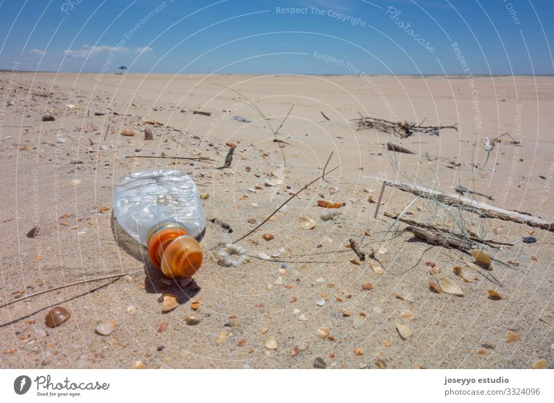Plastikflasche auf dem Strandsand. Aktivismus Erkenntnis Flasche Küste abholen Bildung Umwelt frei Zukunft Mikrokunststoff Bewegung Natur Meer Paket Pickup Erde