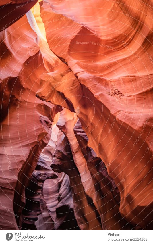 Antelope Canyon Lichtspiel Höhle Farbe Lake Powell Stein Felsen Schlucht Natur Amerika USA Page